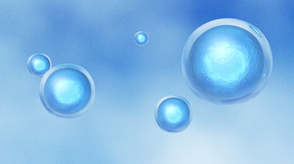 Embryonic stem cells